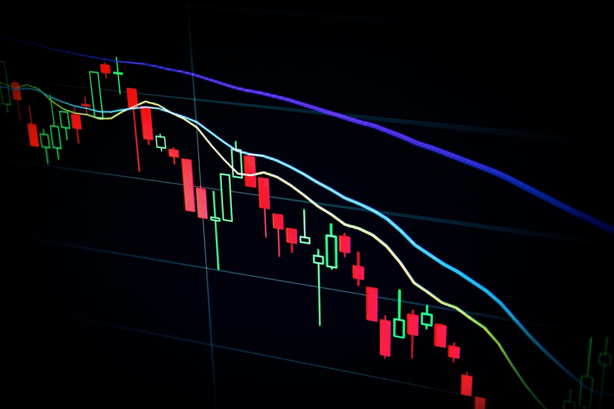 Selic a 13,25% em 2026: Os Melhores Investimentos Para Aproveitar os Juros Altos